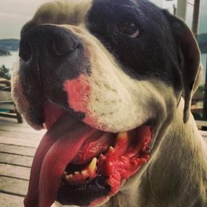 Meet your Posher, Mike